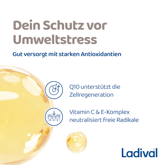 Gut versorgt mit starken Antioxidantien