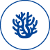 Icon Koralle Icon für korallenfreundliches Produkt