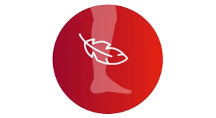 Antistax® Creme (Kosmetikum)