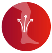 Antistax extra Venentabletten