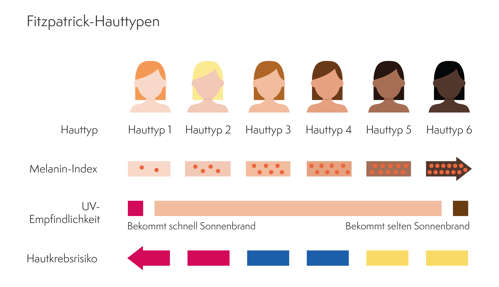 Hauttypen Grafik